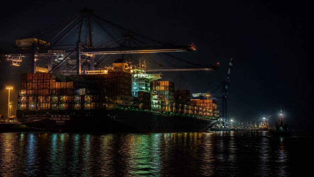 Reefer Stuffing & Port Logistics